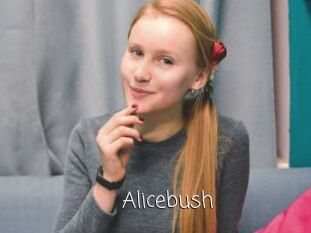 Alicebush