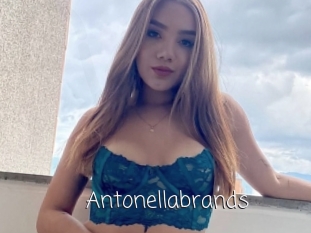 Antonellabrands