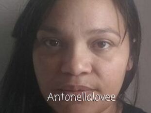 Antonellalovee