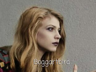 Boggartbird