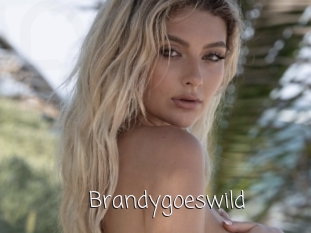 Brandygoeswild
