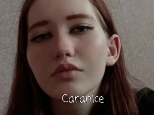 Caranice