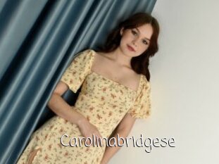 Carolinabridgese