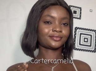 Cartercamelia