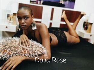 Dalia_Rose