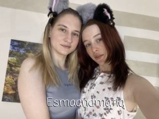 Esmaandmatia