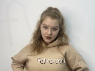 Felicecovil