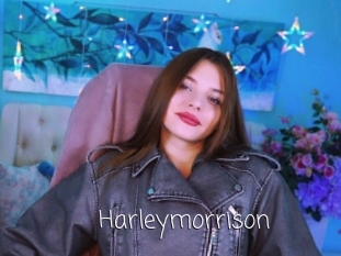 Harleymorrison