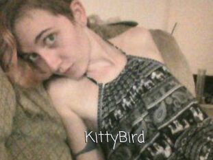 KittyBird
