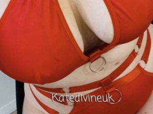 Katedivineuk