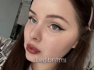 Ledibritmi