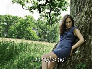 Lilcoedschat