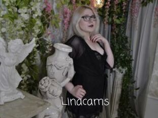 Linacams