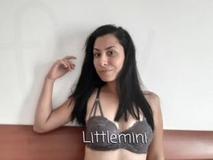 Littlemini