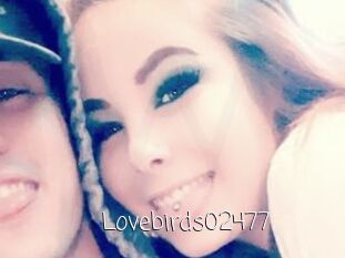 Lovebirds02477