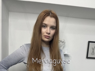 Merciaguyse
