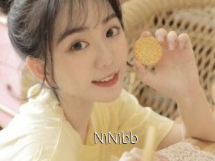 NiNibb