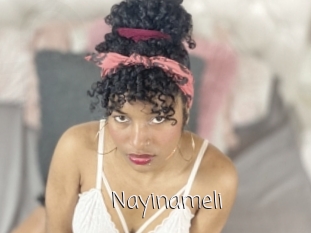 Nayinameli