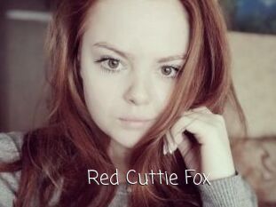 Red_Cuttie_Fox