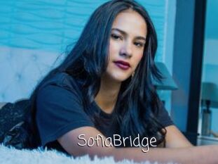 SofiaBridge