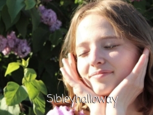 Sibleyhalloway