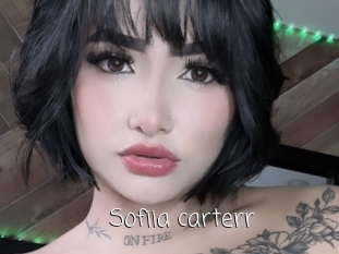 Sofiia_carterr